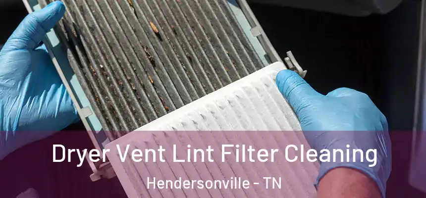 Dryer Vent Lint Filter Cleaning Hendersonville - TN