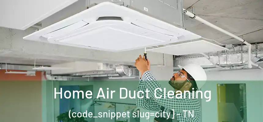  Home Air Duct Cleaning (code_snippet slug=city] - TN