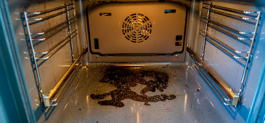 Our Dryer Vent Mold Cleaning Services in Hendersonville, TN