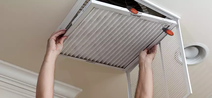 Our Insect Removal from Air Ducts Services in Hendersonville, TN