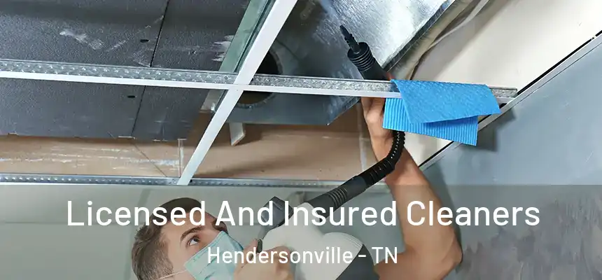  Licensed And Insured Cleaners Hendersonville - TN