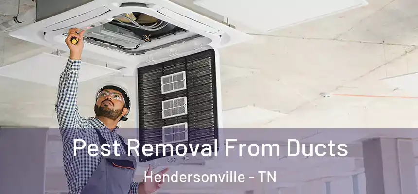  Pest Removal From Ducts Hendersonville - TN