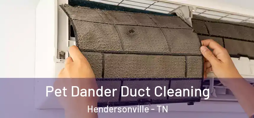  Pet Dander Duct Cleaning Hendersonville - TN
