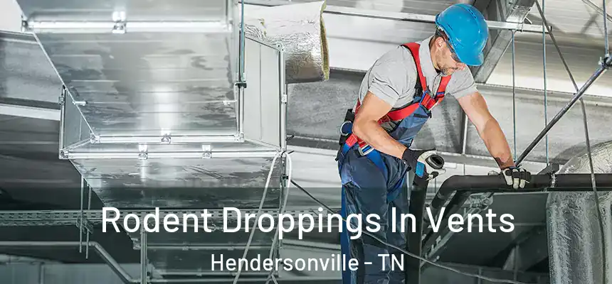  Rodent Droppings In Vents Hendersonville - TN