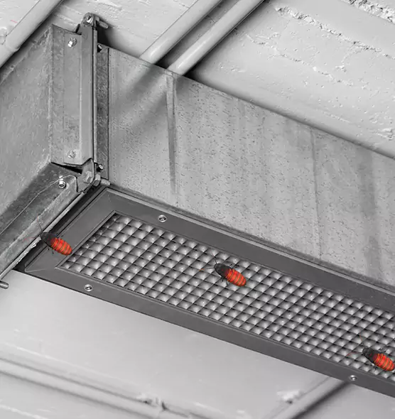 About Air Duct Cockroach Removal in Hendersonville, TN