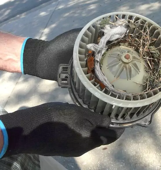 About Air Duct Mice Removal in Hendersonville, TN