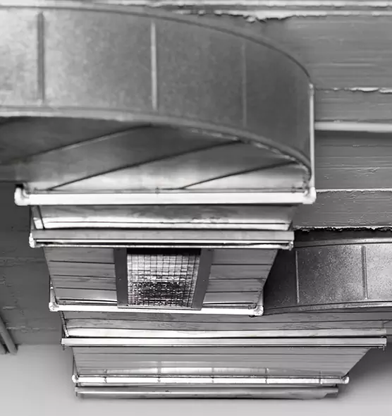 Professional Air Duct Pet Hair Removal in Hendersonville, TN