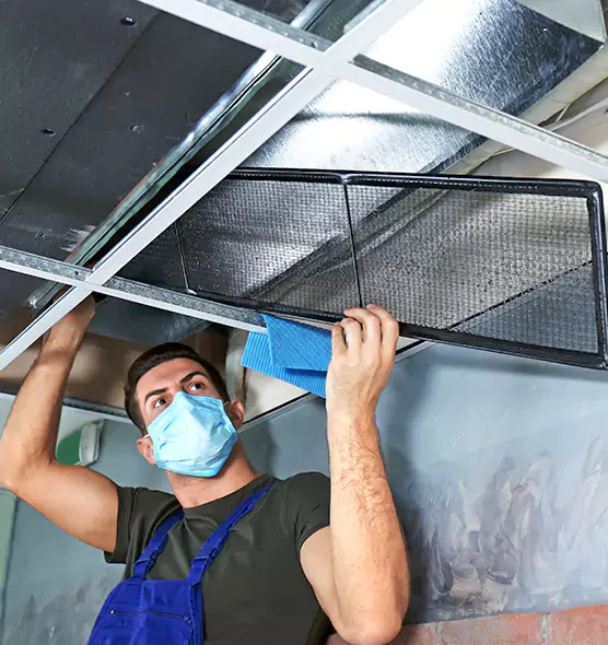 Professional Air Duct Pollen Cleaning in Hendersonville, TN