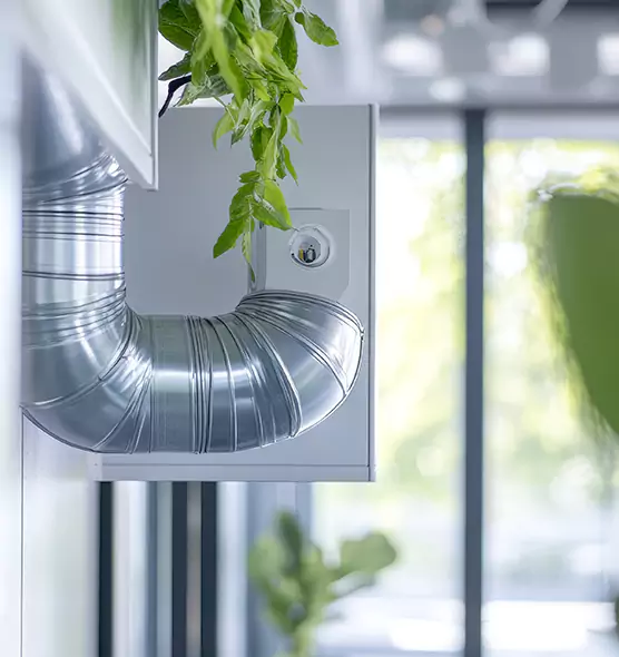 Professional Eco-Safe Dryer Vent Cleaning in Hendersonville, TN