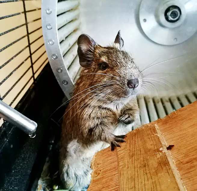 Why Homeowners & Businesses Trust Us Hendersonville, TN?