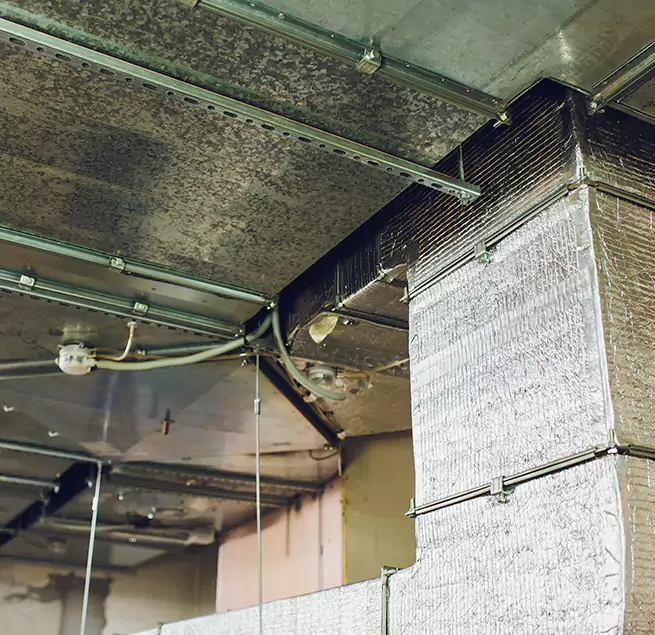 Why Homeowners & Businesses Trust Us in Hendersonville, TN?